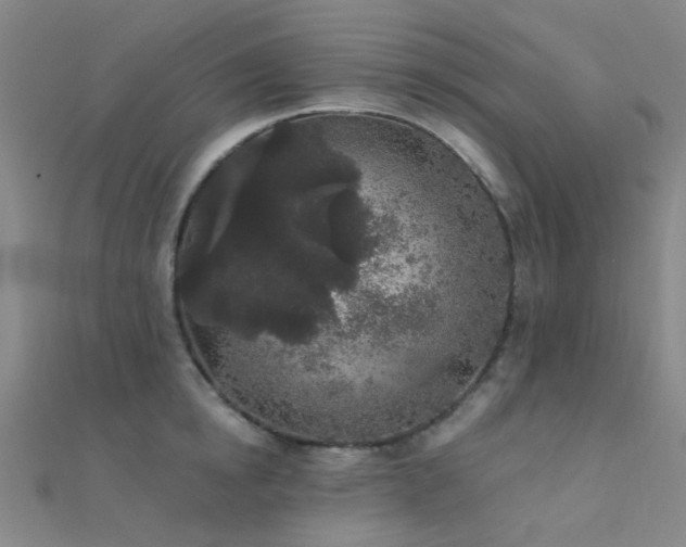 X0000112360854200908131454