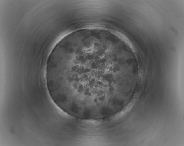 X0000112360855200908131454