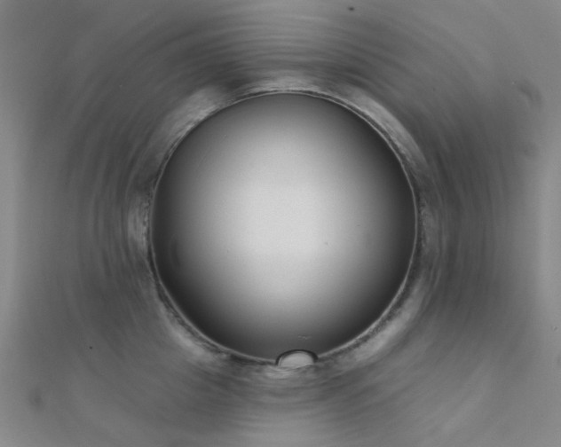 X0000112360857200908131454