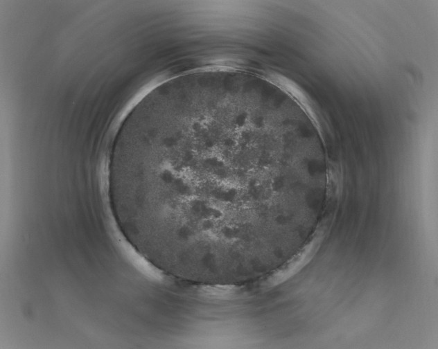 X0000112360859200908131454