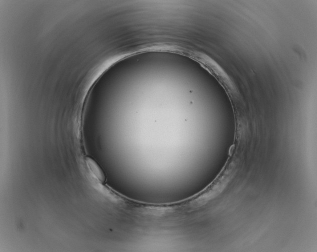 X0000112360860200908131454