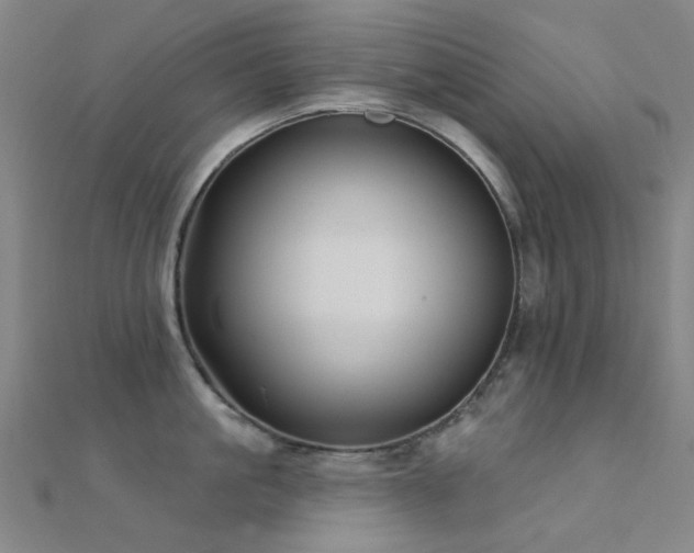 X0000112360861200908131454