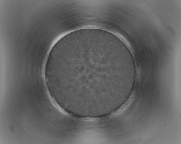 X0000112360862200908131454