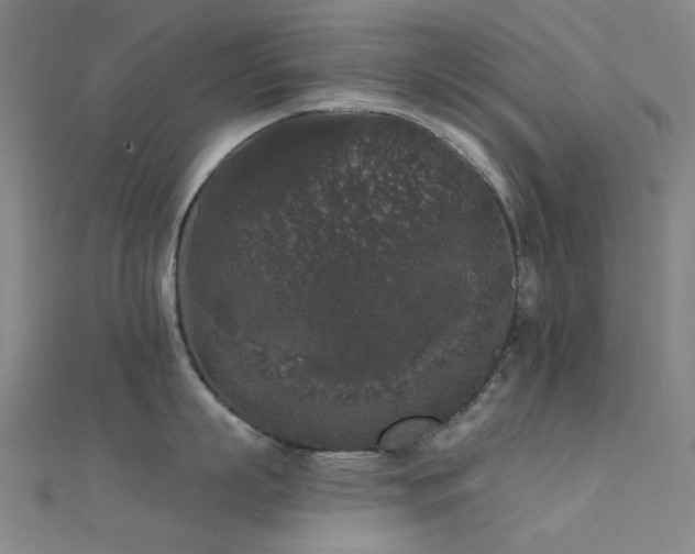 X0000112360863200908131454