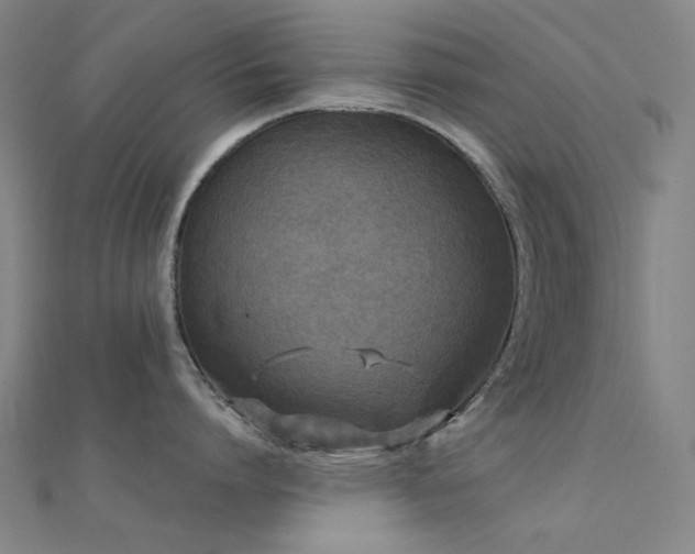 X0000112360864200908131454
