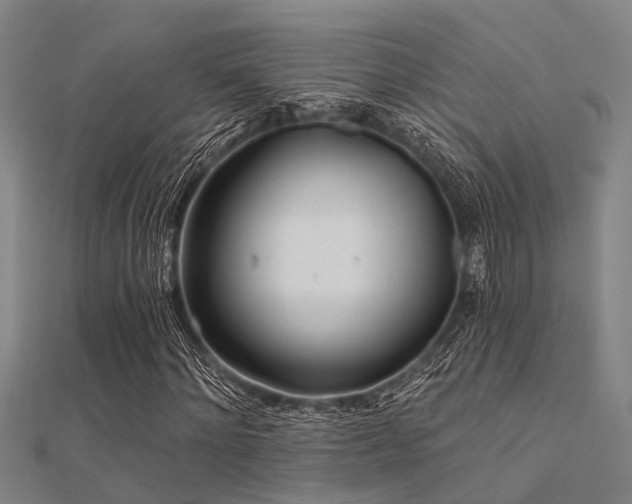 X0000112360868200908131453