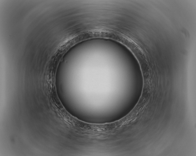 X0000112360870200908131453