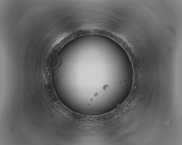 X0000112360871200908131453