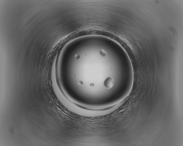 X0000112360872200908131453