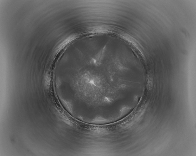X0000112360874200908131453