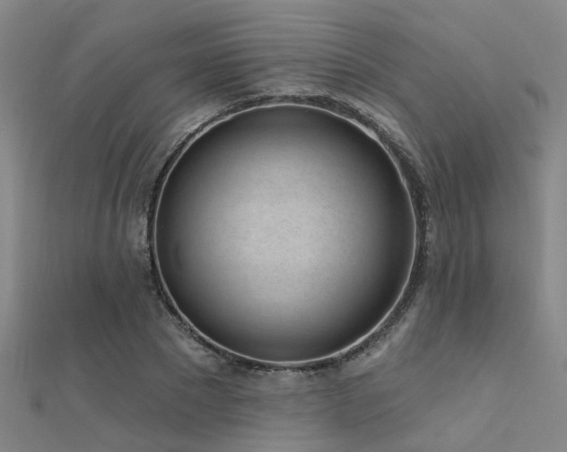 X0000112360881200908131453