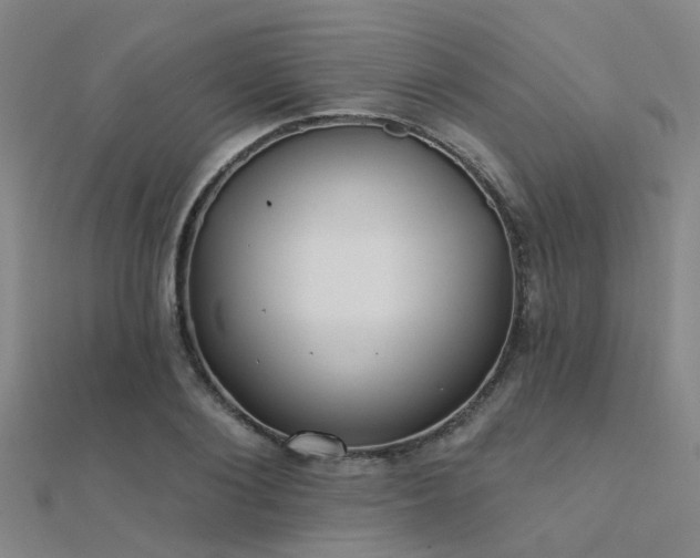 X0000112360884200908131453