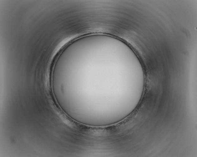 X0000112360886200908131453