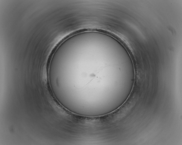 X0000112360887200908131453