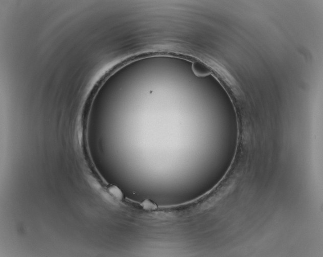 X0000112360888200908131453