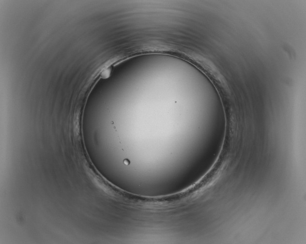 X0000112360889200908131453