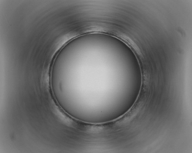 X0000112360890200908131453