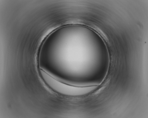 X0000112360893200908131453