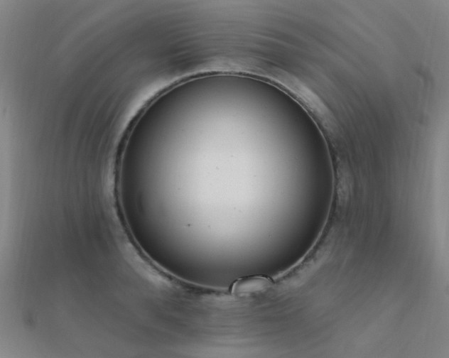 X0000112360896200908131453