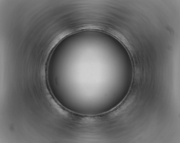 X0000112360898200908131453
