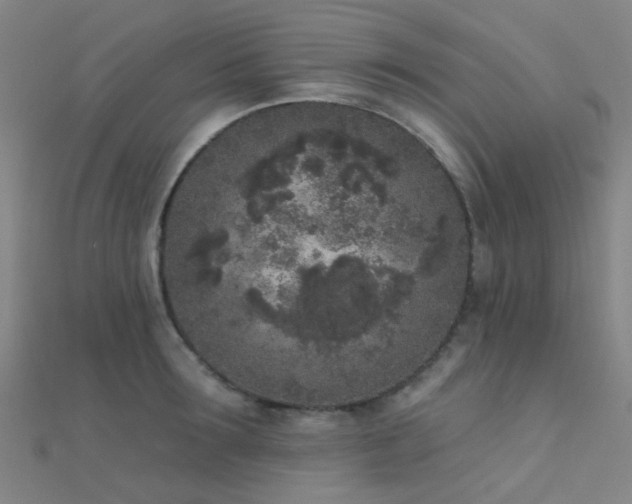 X0000112360899200908131453