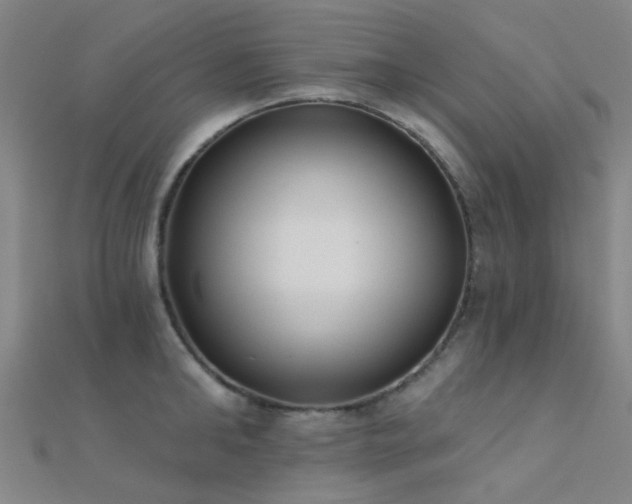 X0000112360902200908131453