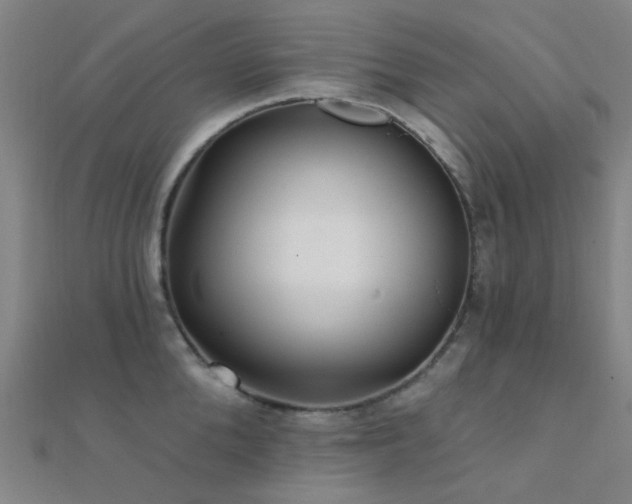 X0000112360904200908131453