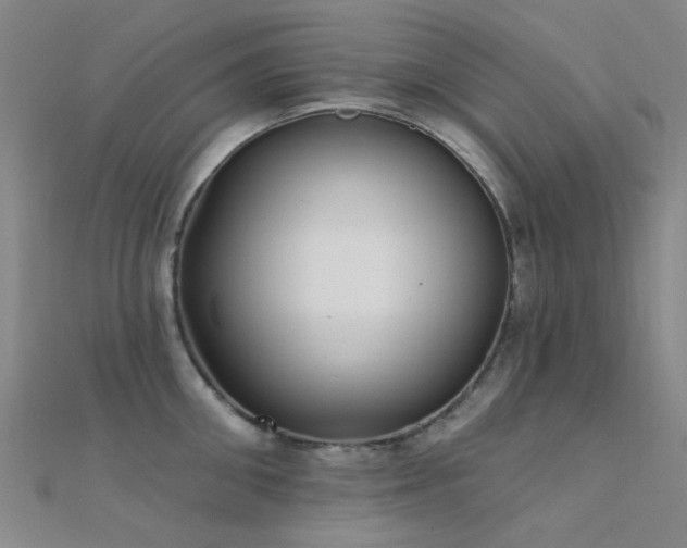 X0000112360906200908131453