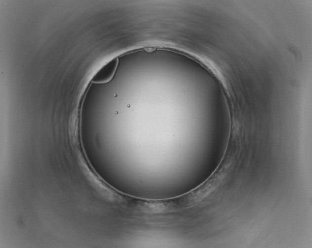 X0000112360911200908131453