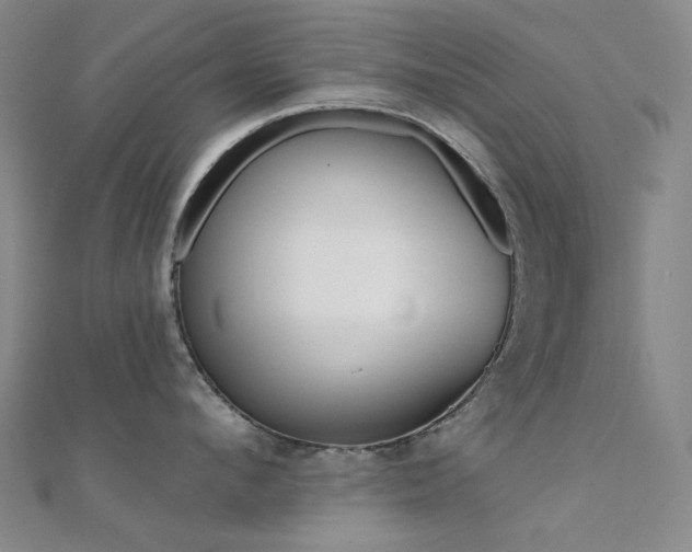 X0000112360912200908131453