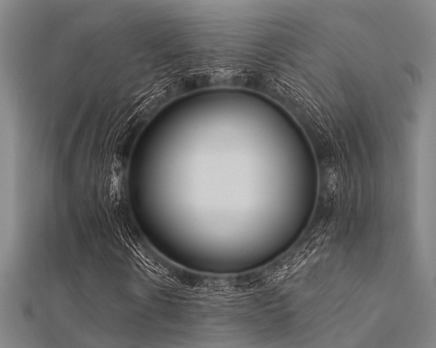 X0000112360914200908131452