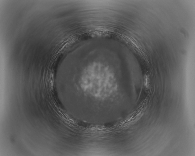 X0000112360915200908131452