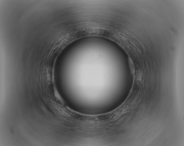 X0000112360916200908131452