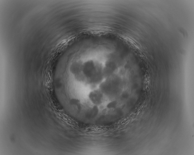 X0000112360917200908131452