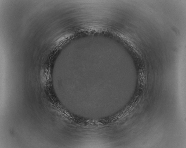 X0000112360918200908131452