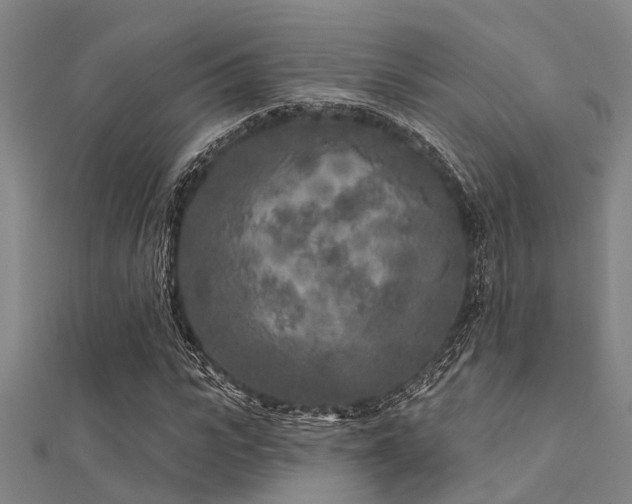 X0000112360919200908131452
