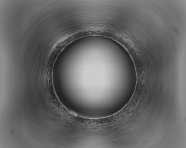 X0000112360920200908131452