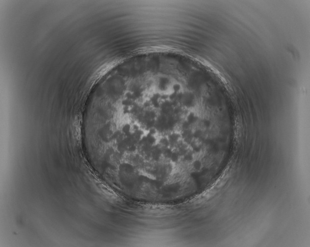 X0000112360921200908131452