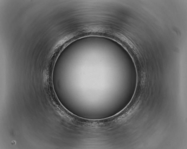 X0000112360922200908131452