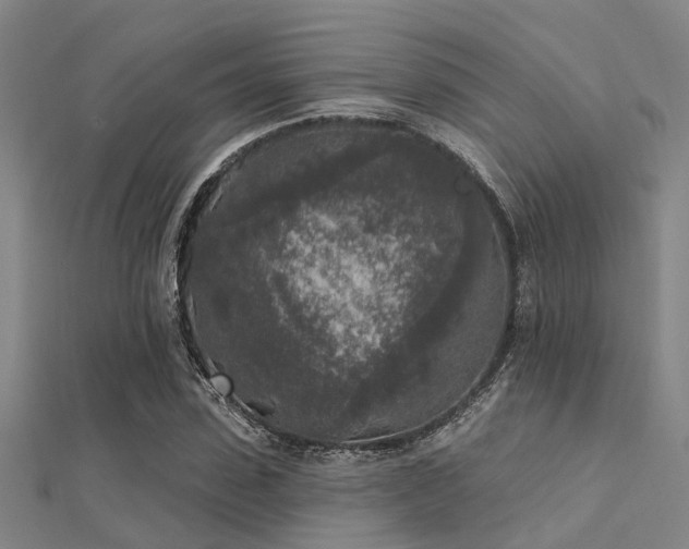 X0000112360923200908131452