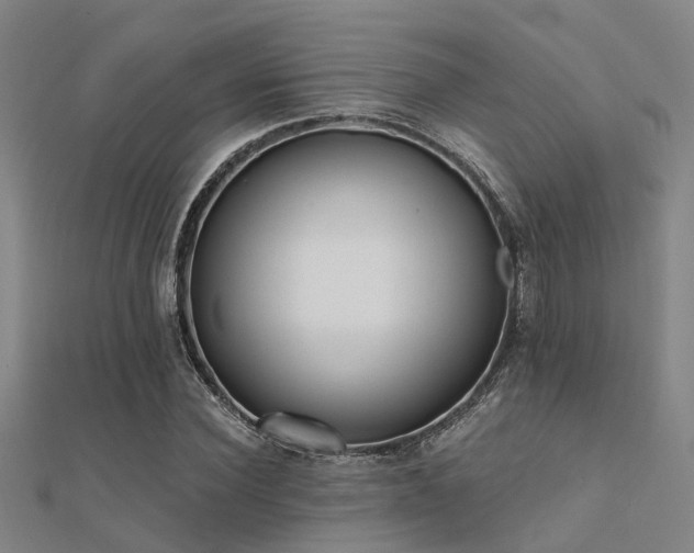 X0000112360924200908131452