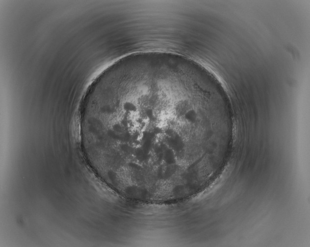X0000112360925200908131452