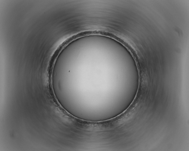 X0000112360927200908131452