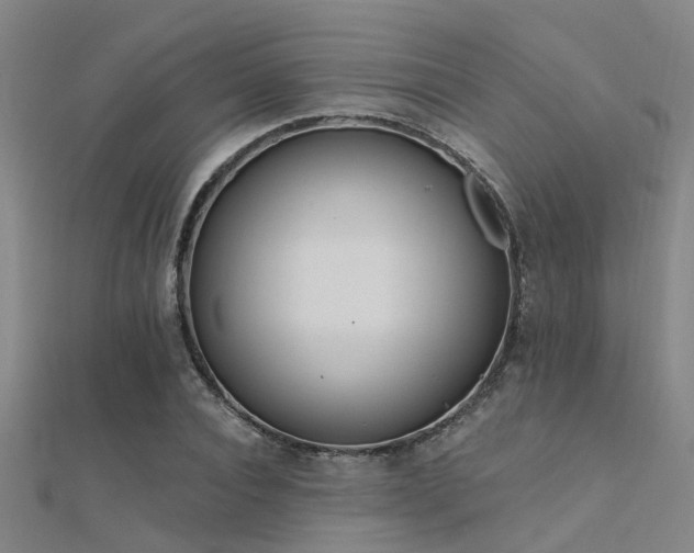 X0000112360928200908131452