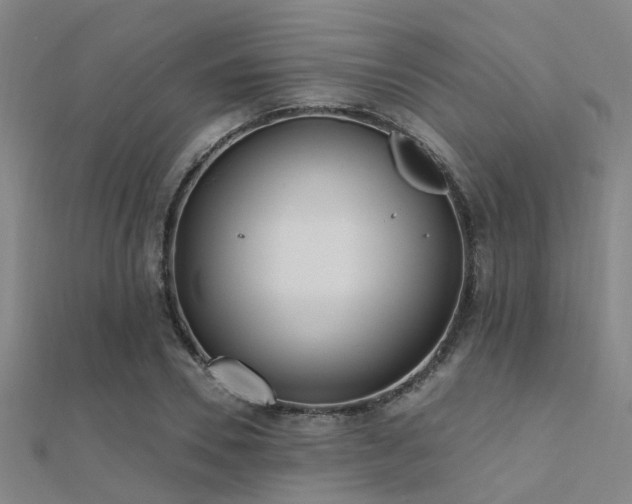 X0000112360930200908131452