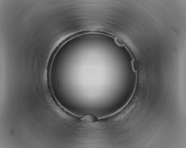X0000112360932200908131452
