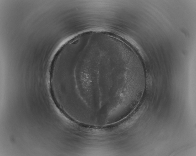 X0000112360935200908131452