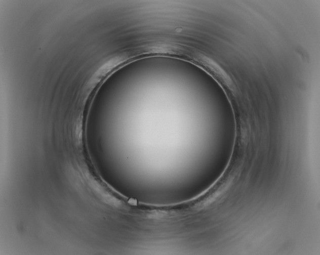 X0000112360938200908131452