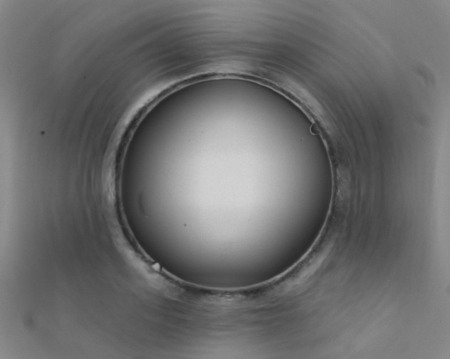 X0000112360939200908131452