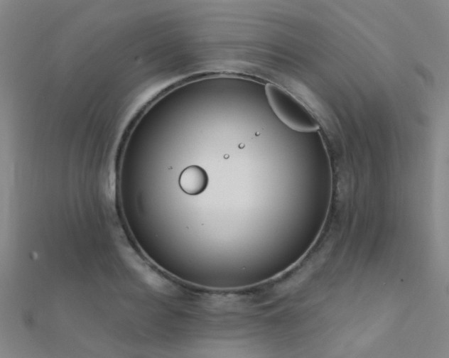 X0000112360940200908131452